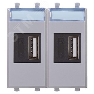 Avanti USB зарядное устройство модульное          закаленная сталь 2модуля