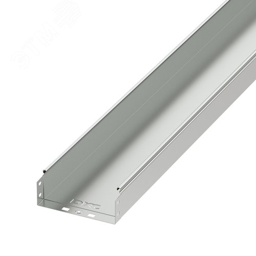 Лоток листовой 50х10 L=2000мм цинк-ламельный