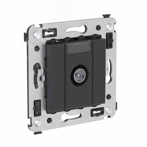Avanti Розетка TV оконечная в стену,  Черный матовый 2