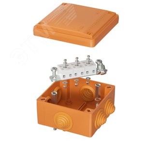 Коробка пластиковая FS с кабельными вводами и клеммниками  IP55 100х100х50мм  5р  450V 10A  6мм.кв. - DKC (ДКС)