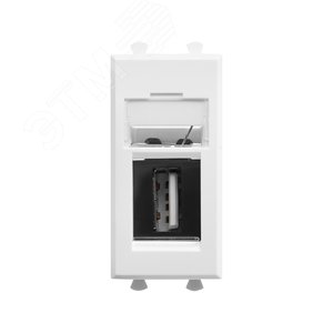 Avanti USB 2.0 розетка ''Белое облако'' модульная, тип А-А, 1 модульная - DKC (ДКС)