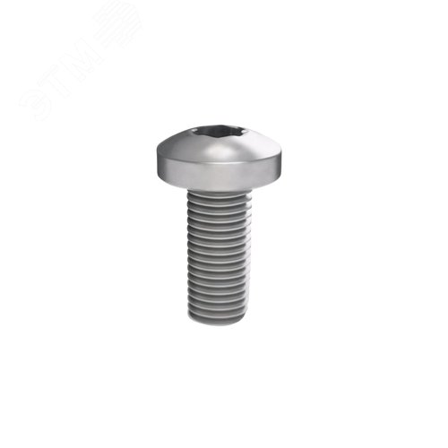 Винт М5х12 под шлиц Torx, 100 шт.