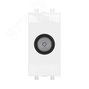 Avanti Розетка TV оконечная модульная,  Белое облако, 1 модуль - DKC (ДКС)