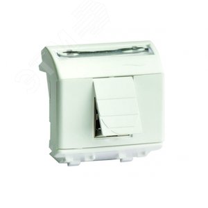 Розетка компьютерная RJ45 категория 6 Brava слоновая кость 2 модуля