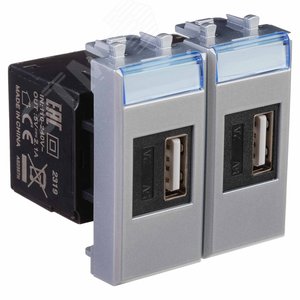 Avanti USB зарядное устройство модульное          закаленная сталь 2модуля 2