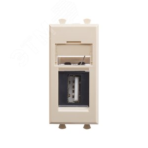 Avanti USB 2.0 розетка ''Ванильная дымка'' модульная, тип А-А, 1 модульная - DKC (ДКС)