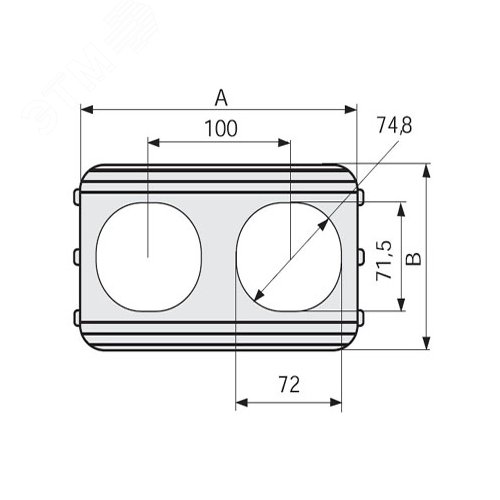 Накладка CSA-2N 100 под розетку двойную TA-GN IN-Liner - фото 2