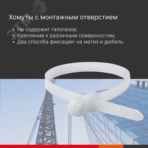 Хомут P6.6 с монтажным отверстием M5, белый 4,8x200 - фото 3