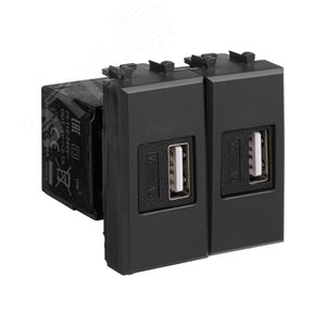 Avanti USB зарядное устройство модульное, , Черный матовый, 2 модуля - фото 2