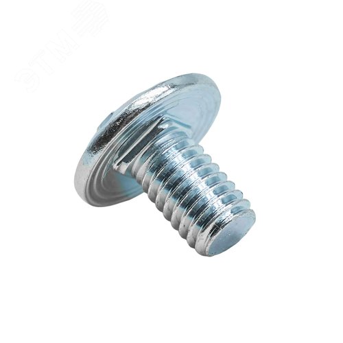 Винт крестообразный шлиц М6х10