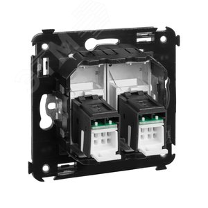 Avanti Компьютерная розетка RJ-45 в стену кат.5e двойная Закаленная сталь 4