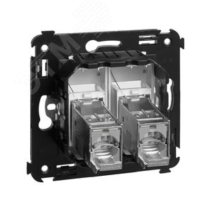 Avanti Компьютерная розетка RJ-45 в стену кат.5e двойная экранированная Закаленная сталь 4