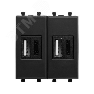 Avanti USB зарядное устройство модульное, , Черный матовый, 2 модуля - DKC (ДКС)