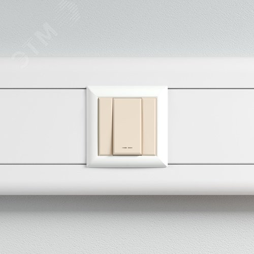 Avanti Кнопка ''Ванильная дымка'', 16A, 1 модульная 5