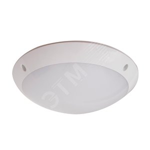 Светильник светодиодный ДБУ-12вт IP65