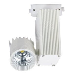 Светильник TSF15-23-C-01 (TSF15-23-C-01) - Новый свет