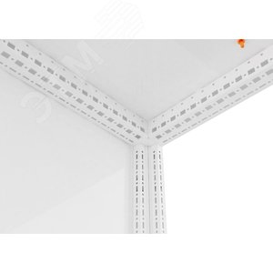 Корпус для шкафов RS52 200.80.60 БЕЗ МП IP55 - фото 2