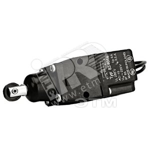 Микровыключатель контактный WZ-SB00-50-01-000 220В с крон.д.19"-х шкафов серий OTS/SZBD/SZBR/SZBSE/DC (SZB-50-07) | 11225 | Zpas - Zpas