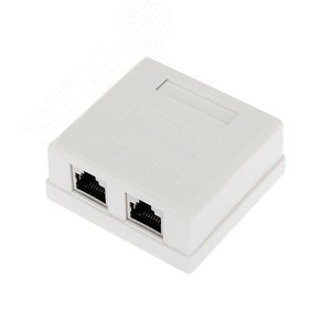 Розетка компьютерная внешняя 2-порта RJ-45 8P8C FTP экранированная кат6, - REXANT