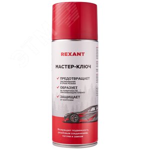 Мастер-ключ 520 мл - REXANT