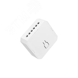 Реле SECURIC двухканальное умное Wi-Fi встраиваемое (SEC-HV-201-2W) - REXANT