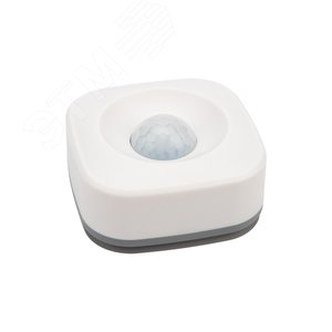 Датчик движения умный беспроводной Wi-Fi SECURIC (SEC-S-501W) - REXANT