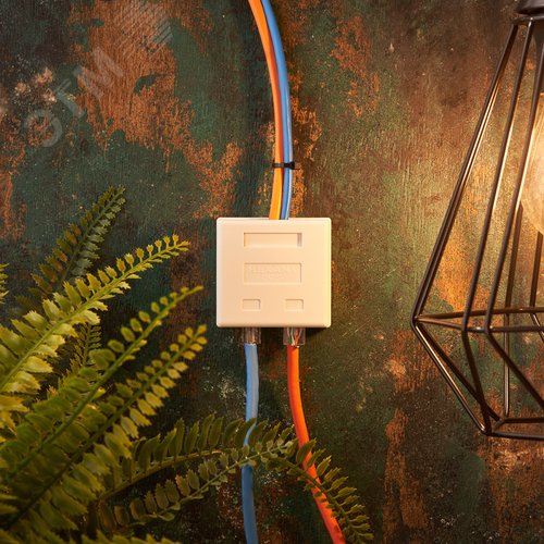 Розетка комбинированная внешняя. RJ-45(8P-8C) + RJ-11(6P-4C). UTP неэкраниров, - фото 2