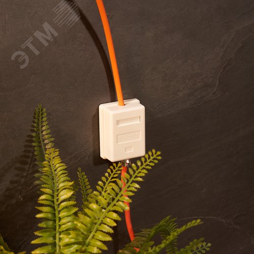 Розетка компьютерная 1 порт RJ-45 (8P8C) cat 5e внешняя, - фото 2