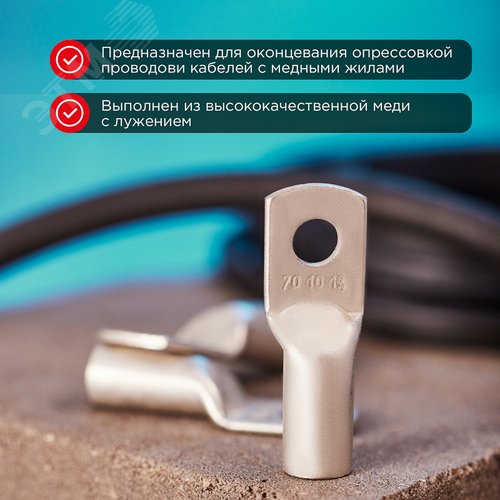 Наконечник ТМЛ 70-10-13 (70 кв мм -  10 мм) ГОСТ 7386-80 , REXANT 2