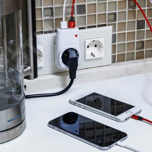 Адаптер питания 220В и 2 USB RX-17 - фото 2