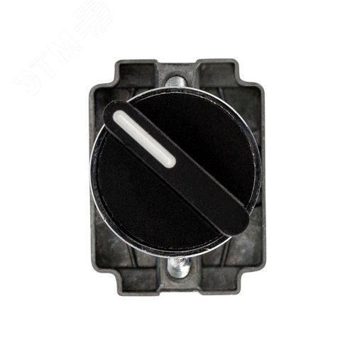 Переключатель BD21 2P короткая ручка NO - фото 2