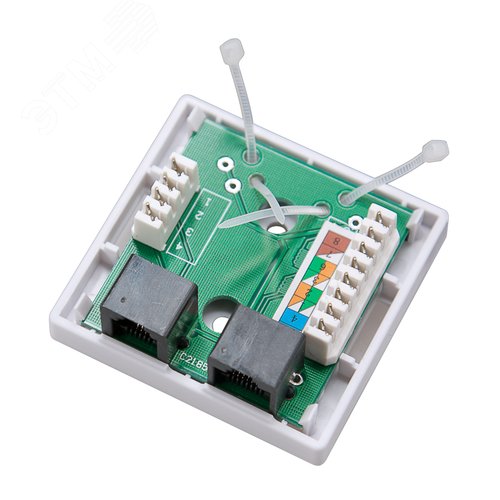 Розетка комбинированная внешняя. RJ-45(8P-8C) + RJ-11(6P-4C). UTP неэкраниров, - фото 4