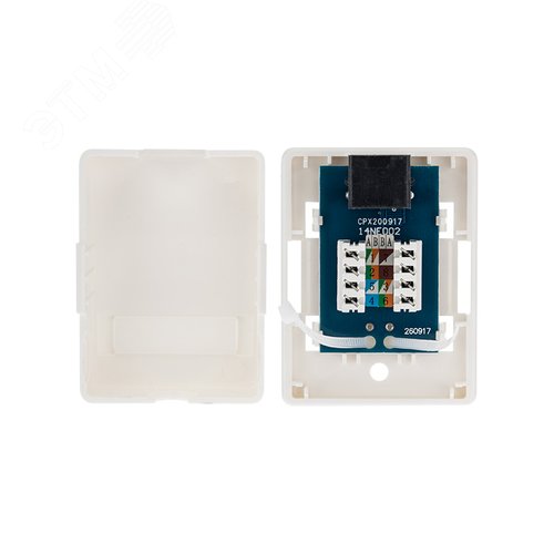 Розетка компьютерная внешняя 1-порт RJ-45 8P8C UTP неэкранированная. кат6, - фото 3