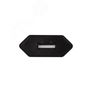 Устройство сетевое зарядное для iPhone, iPad USB, 5V, 1 A, черное, 2