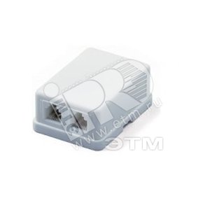 Розетка телефонная RJ-12(6P4C) SB-2-6PC-C2-WH двойная, внешняя, белая Hyperline - Hyperline