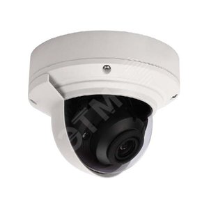 Видеокамера IP антивандальная 5.0 Мп с варифокальным объективом 3.6-10 мм (GF-ALV4250) - Giraffe