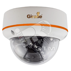 В/к сетевая минидом GF-IPDIR4423MPWF1.0 - Giraffe
