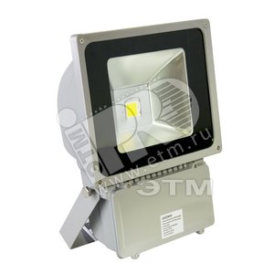 Светильник светодиодный ДО-100Вт  PFL-100W/CW/GR  JazzWay - Jazzway