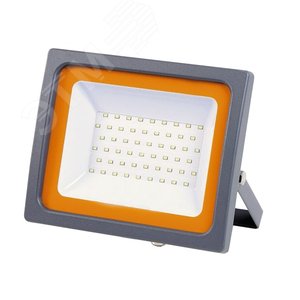 Прожектор светодиодный ДО-10w 6500K 850 Лм IP65 матовое стекло - Jazzway