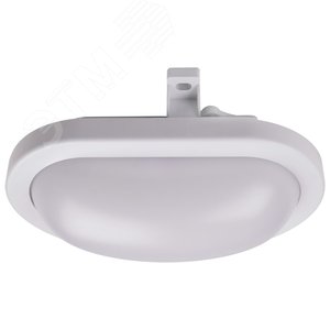 Светильник светодиодный ДБП-12W 4000K 900Лм овальный пластик IP65 Jazzway (5009264) - Jazzway