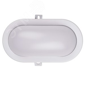 Светильник светодиодный ДБП-12W 4000K 900Лм овальный пластик IP65 Jazzway (5009264) - фото 3