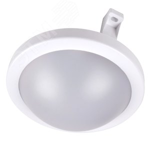 Светильник светодиодный ДБП-8W 4000K 600Лм круглый пластик IP65 Jazzway (5009271) - Jazzway