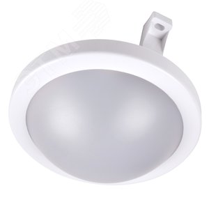 Светильник светодиодный ДБП-12W 4000K 900Лм круглый пластик IP65 Jazzway (5009288) - фото 2