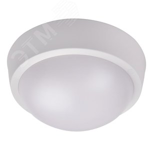 Светильник светодиодный ДБП-30Вт 4000К 2250 Лм IP65 - фото 2