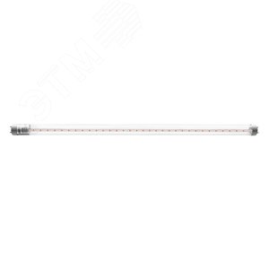 Лампа светодиодная LED 8Вт Т8 фитолампа для растений прозрачная 600 мм G13 5025899 JazzWay - фото 2