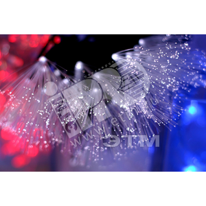 Электрогирлянда Кисти внутренняя 48LED белая - Jazzway