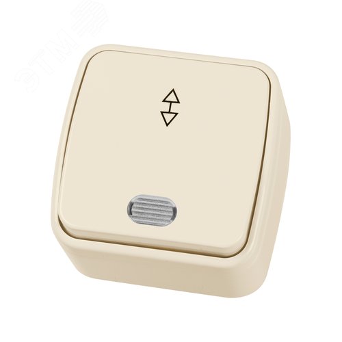 Переключатель на 2 направления 1-кл. открытой устан с подсветкой IP20 10А, сл. кость Дача Народ