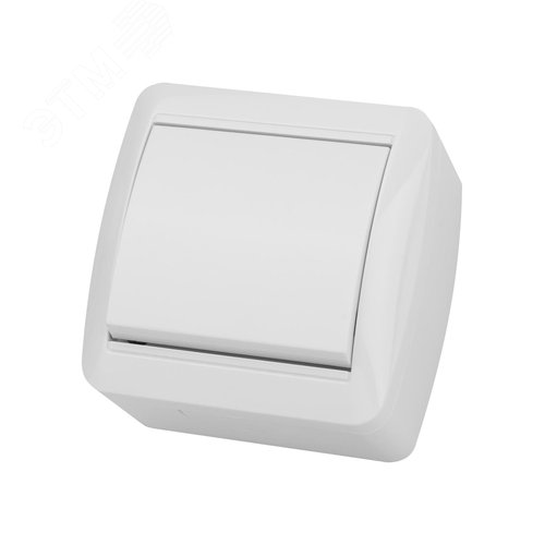 Выключатель одноклавишный открытой установки IP44 10А белый ''Селигер'' 2