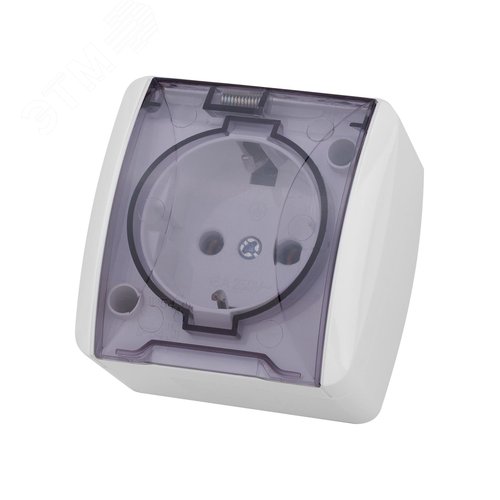 Розетка 2П+3 открытой установки IP54 16А с прозрачной крышкой белая ''Селигер'' 3