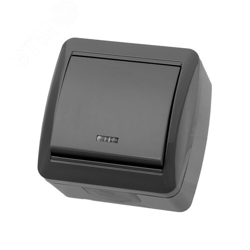 "Выключатель 1-кл. открытой установки с подсветкой IP44 10А серый ""Селигер"" TDM" 2